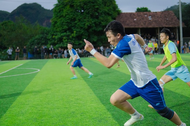 外部因素的 外部因素的