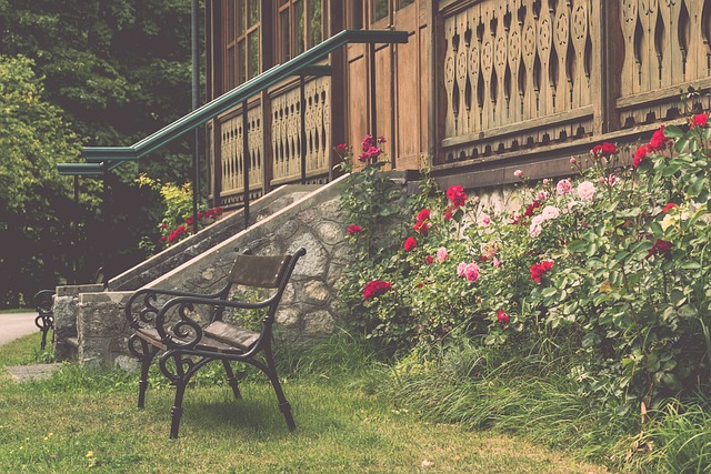 他成为众多 他成为众多