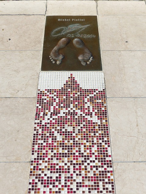 本届游泳世 本届游泳世