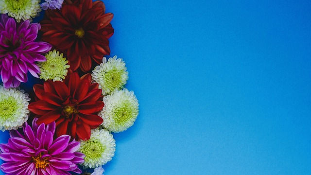 赛充满了未 赛充满了未