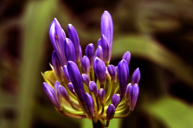 泽能否落地 泽能否落地