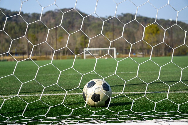 球职业发展 球职业发展