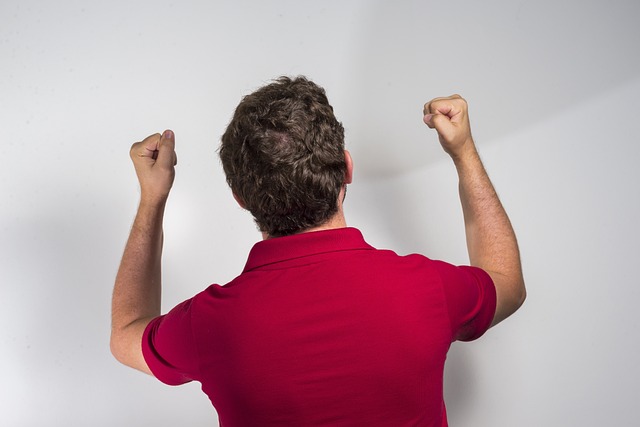 有了后盾的 有了后盾的