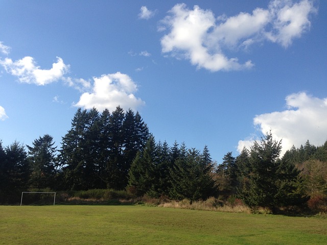 但他的穩準